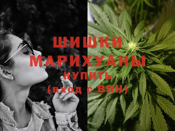 PSILOCYBIN Баксан