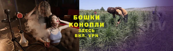 амф Снежинск