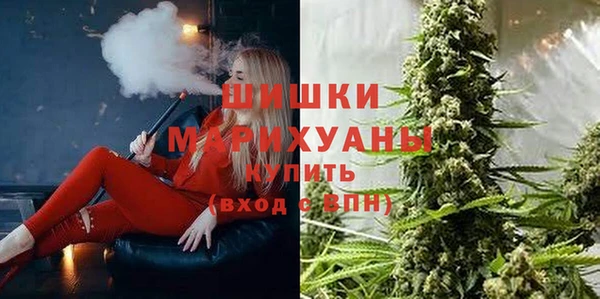 PSILOCYBIN Баксан