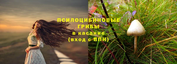 дживик Балабаново