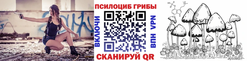 Галлюциногенные грибы Cubensis закладки Вятские Поляны