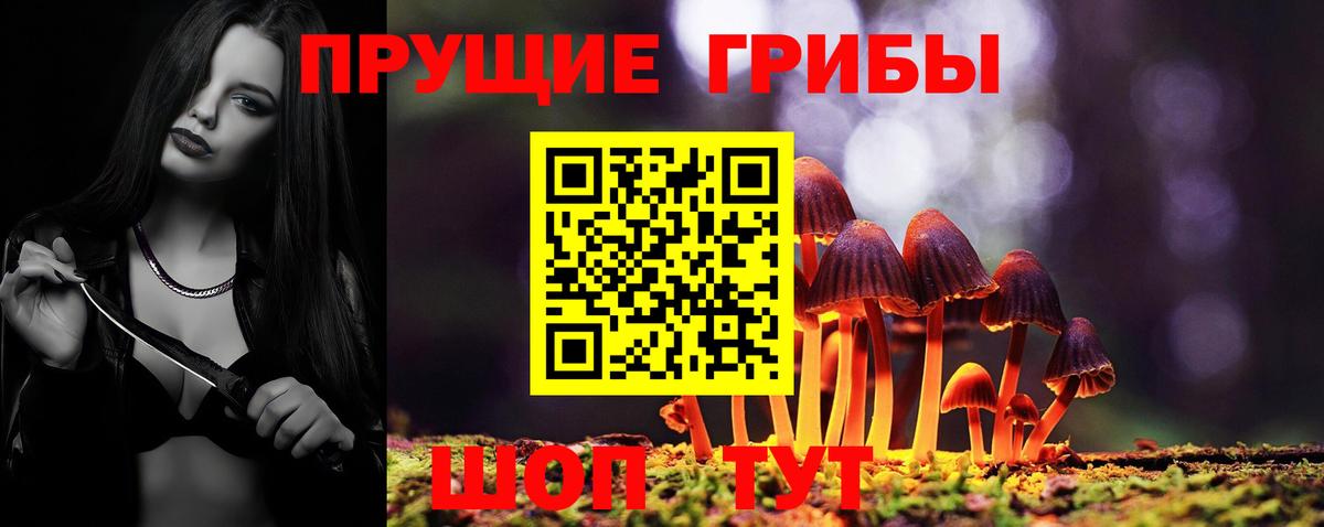 купить наркотик  Вход с VPN  Псилоцибиновые грибы мицелий  Вятские Поляны  Галлюциногенные грибы прущие грибы 
